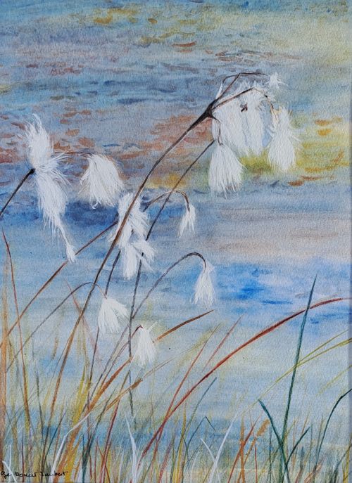 Des linaigrettes sur fond de lac en aquarelle